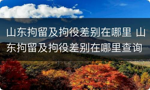 山东拘留及拘役差别在哪里 山东拘留及拘役差别在哪里查询