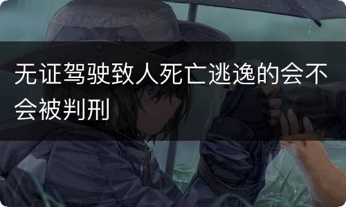 无证驾驶致人死亡逃逸的会不会被判刑