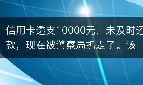 信用卡透支10000元，未及时还款，现在被警察局抓走了。该如何处理