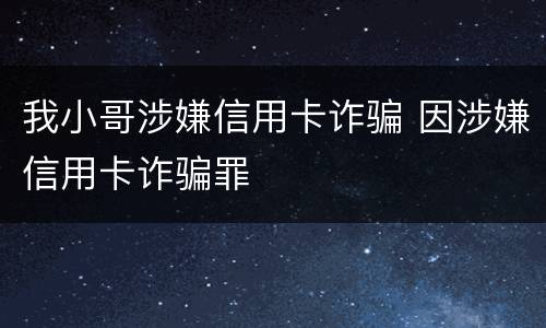 我小哥涉嫌信用卡诈骗 因涉嫌信用卡诈骗罪