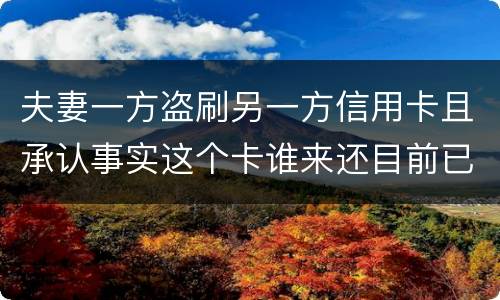 夫妻一方盗刷另一方信用卡且承认事实这个卡谁来还目前已经离婚
