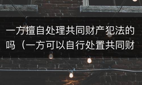 一方擅自处理共同财产犯法的吗（一方可以自行处置共同财产吗）