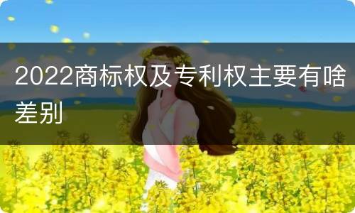 2022商标权及专利权主要有啥差别