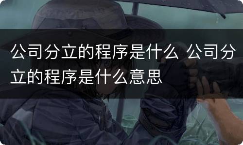 公司分立的程序是什么 公司分立的程序是什么意思