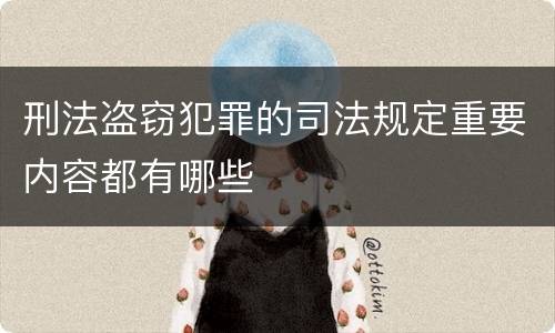 刑法盗窃犯罪的司法规定重要内容都有哪些