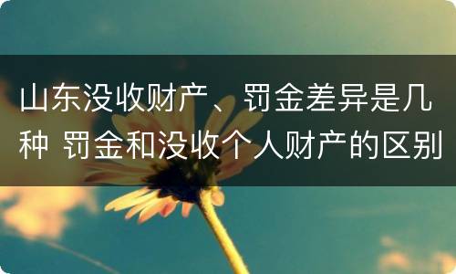 山东没收财产、罚金差异是几种 罚金和没收个人财产的区别