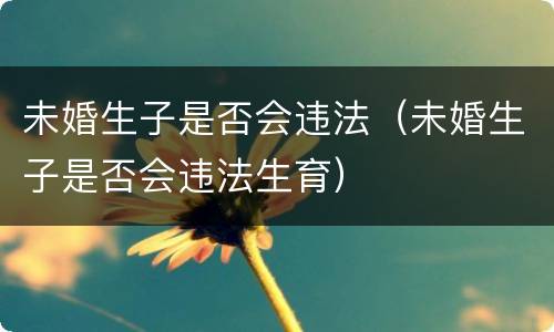 未婚生子是否会违法（未婚生子是否会违法生育）