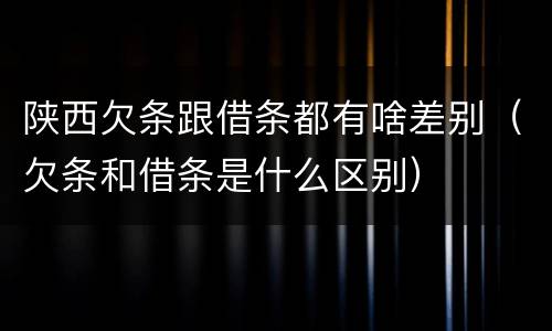 陕西欠条跟借条都有啥差别（欠条和借条是什么区别）