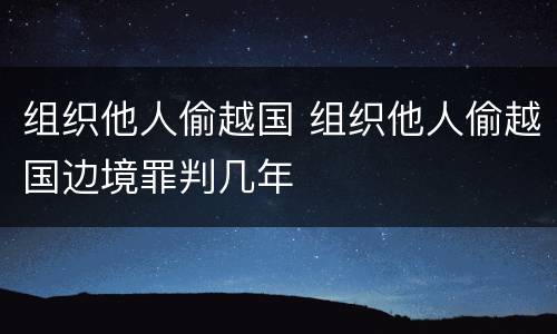 组织他人偷越国 组织他人偷越国边境罪判几年