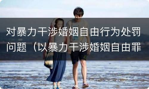 对暴力干涉婚姻自由行为处罚问题（以暴力干涉婚姻自由罪）