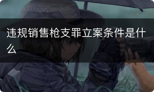 违规销售枪支罪立案条件是什么