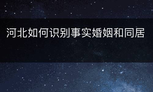 河北如何识别事实婚姻和同居