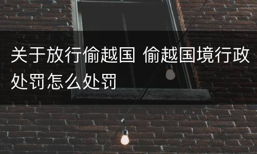 关于放行偷越国 偷越国境行政处罚怎么处罚