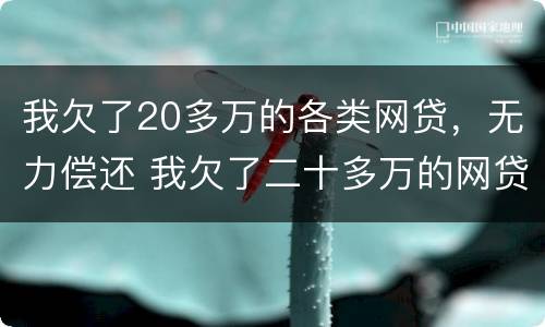 我欠了20多万的各类网贷，无力偿还 我欠了二十多万的网贷怎么办?