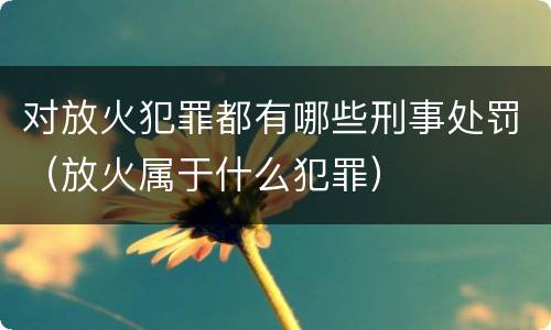 对放火犯罪都有哪些刑事处罚（放火属于什么犯罪）