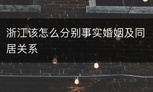 浙江该怎么分别事实婚姻及同居关系