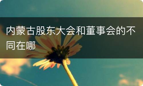 内蒙古股东大会和董事会的不同在哪