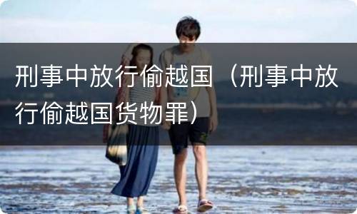刑事中放行偷越国（刑事中放行偷越国货物罪）