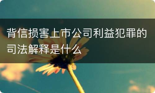 背信损害上市公司利益犯罪的司法解释是什么