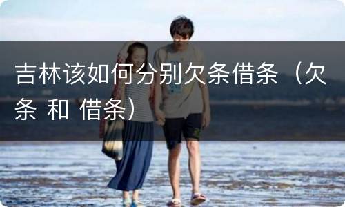 吉林该如何分别欠条借条（欠条 和 借条）