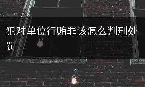 犯对单位行贿罪该怎么判刑处罚