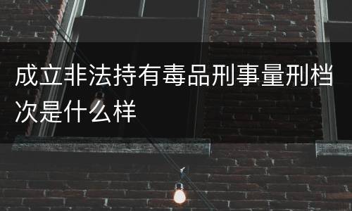 成立非法持有毒品刑事量刑档次是什么样