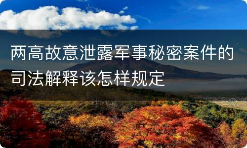 两高故意泄露军事秘密案件的司法解释该怎样规定