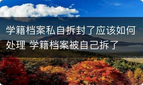 学籍档案私自拆封了应该如何处理 学籍档案被自己拆了