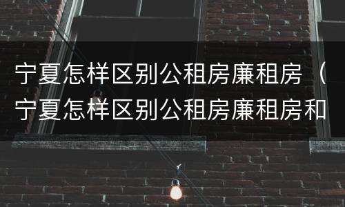 宁夏怎样区别公租房廉租房（宁夏怎样区别公租房廉租房和住房）