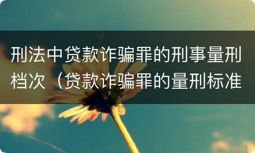 刑法中贷款诈骗罪的刑事量刑档次（贷款诈骗罪的量刑标准）