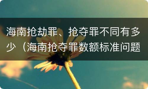 海南抢劫罪、抢夺罪不同有多少（海南抢夺罪数额标准问题的规定）