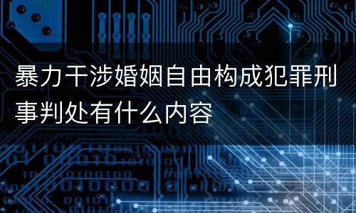 暴力干涉婚姻自由构成犯罪刑事判处有什么内容