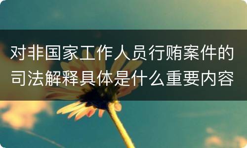 对非国家工作人员行贿案件的司法解释具体是什么重要内容