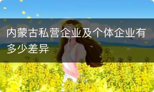 内蒙古私营企业及个体企业有多少差异