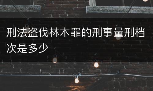 刑法盗伐林木罪的刑事量刑档次是多少