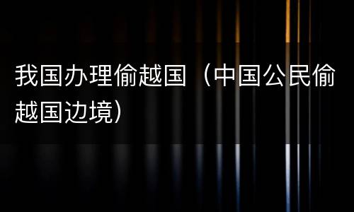 我国办理偷越国（中国公民偷越国边境）
