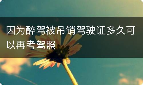 因为醉驾被吊销驾驶证多久可以再考驾照