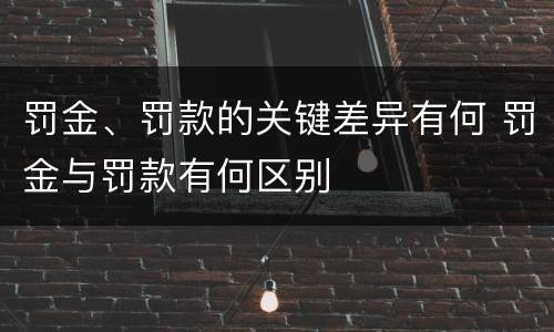 罚金、罚款的关键差异有何 罚金与罚款有何区别