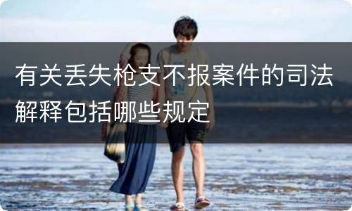 有关丢失枪支不报案件的司法解释包括哪些规定