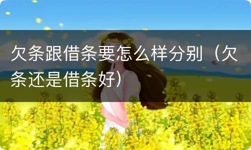 欠条跟借条要怎么样分别（欠条还是借条好）