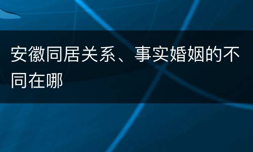 安徽同居关系、事实婚姻的不同在哪