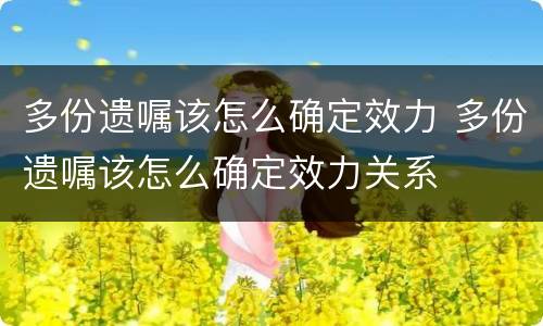 多份遗嘱该怎么确定效力 多份遗嘱该怎么确定效力关系