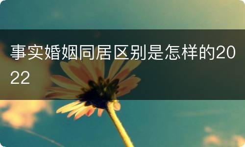 事实婚姻同居区别是怎样的2022