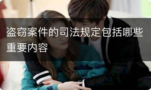 盗窃案件的司法规定包括哪些重要内容