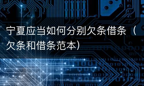 宁夏应当如何分别欠条借条（欠条和借条范本）