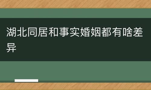 湖北同居和事实婚姻都有啥差异