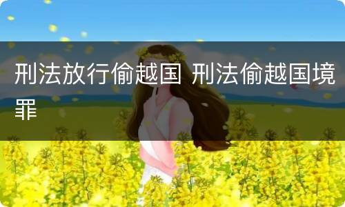 刑法放行偷越国 刑法偷越国境罪