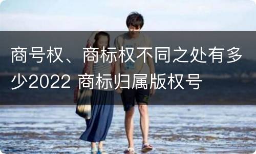 商号权、商标权不同之处有多少2022 商标归属版权号