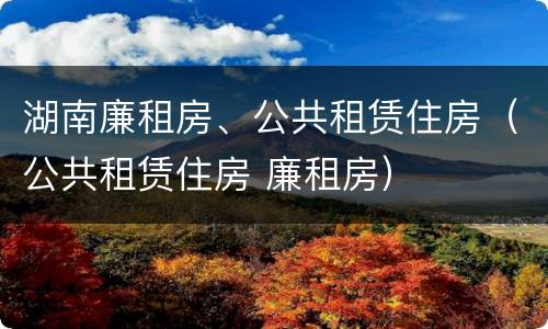 湖南廉租房、公共租赁住房（公共租赁住房 廉租房）