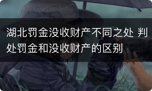 湖北罚金没收财产不同之处 判处罚金和没收财产的区别